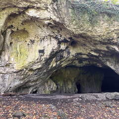 22-10-10 15-19-57 2674